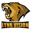 Logo Lynn Vision